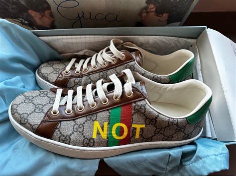 spare gucci
